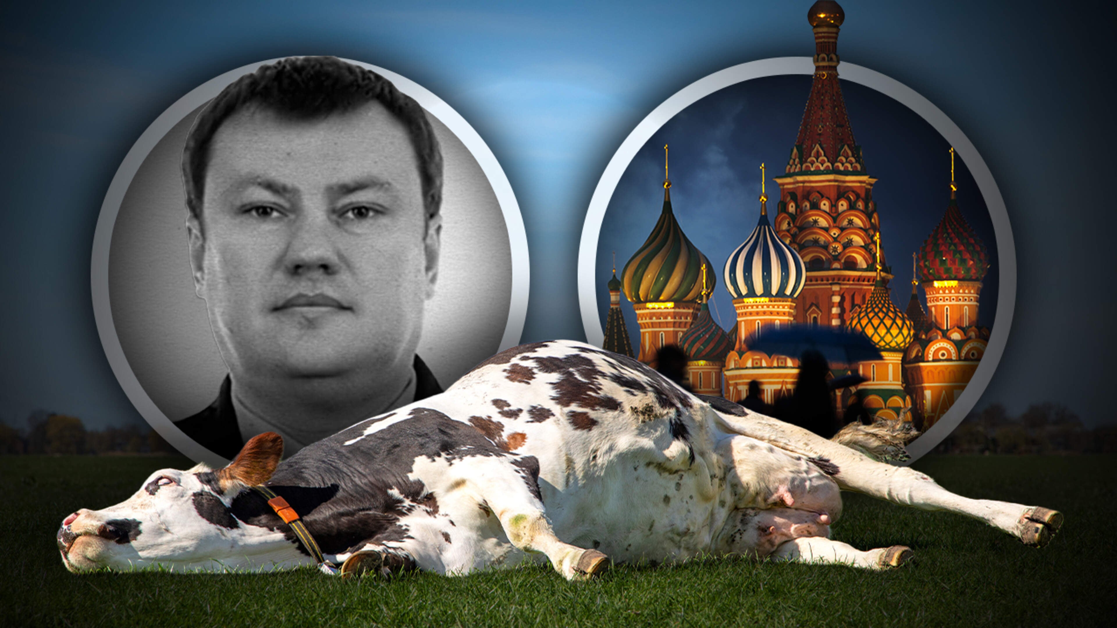 Russische ex-spion vluchtte voor het Kremlin in buik van dode koe: ’Blijven betekende de dood’